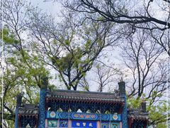 -北京国子监胡同