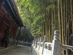 -潭柘寺景区