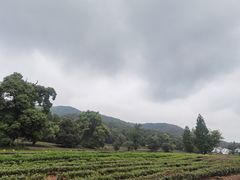 -灵顺寺