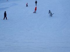 -华彬猛犸滑雪场
