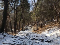 -阳台山自然风景区