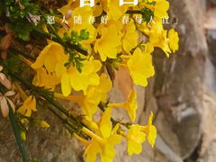 -济南国际园博园