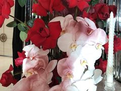 -怪咖·joker陈楠