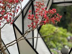-深圳仙湖植物园