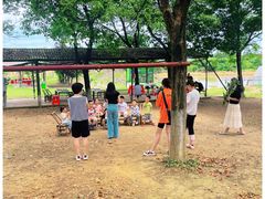 -武汉开心果园农业发展有限公司