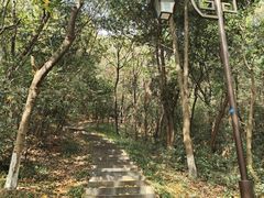 -杭州半山国家森林公园