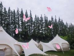 -前小桔亲子创意农场·草莓采摘·露营烧烤