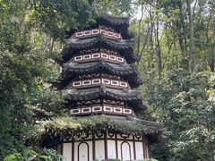 -深圳国际园林花卉博览园