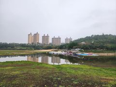 -惠州白鹭湖雅居乐喜来登度假酒店-采悦轩中餐厅