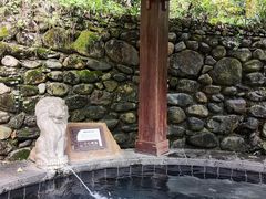 -宜春明月山维景国际温泉度假酒店