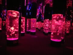 -成都浩海立方海洋公园