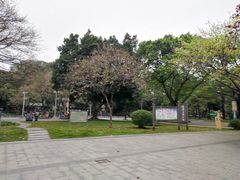 -垂虹公园