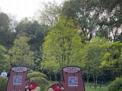 -上海佘山国家森林公园天马山园