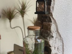 -漫笙舍Manse·咖啡·民宿