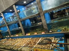 -码头鲜精致威海菜(欧乐坊店)