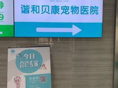-谐和贝康宠物医院24小时·宠保定点(急重症转诊中心)