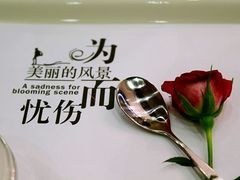 -宛平九号