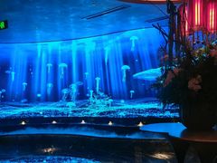 -唐宫足道·SPA·住宿24H会所(木渎店)