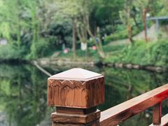 -重庆彩云湖湿地公园