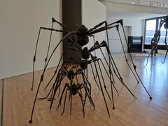-旧金山现代艺术博物馆