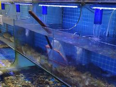 -前王院•巧克力海鲜市集餐厅(万平口店)