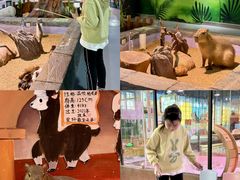 -顺德南宏海立方海洋公园