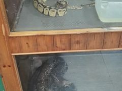 -上海大自然野生昆虫馆