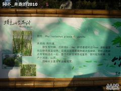 -紫竹院公园冰场