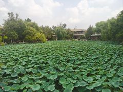 -莲池书院博物馆
