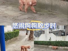 -上海市曹杨职业技术学校