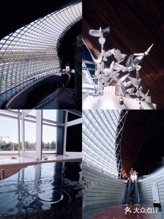 国家大剧院图片