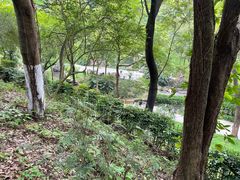 -广州市白云山风景名胜区