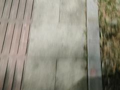 -素清香(解放路店)