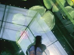 -深圳湾万象城