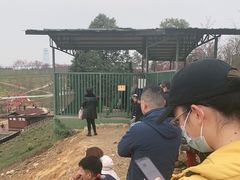 -绵阳盛世樱花悠乐谷