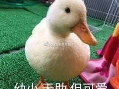 -MS实景娱乐密室逃脱(川大店)