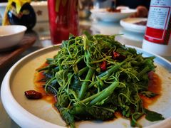 清炒丝瓜尖-香浙汇(望京店)