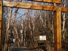 -白草畔自然风景区