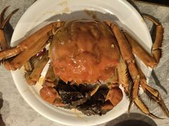 -锅儿欢海鲜火锅烤肉自助餐(东港凯虹店)