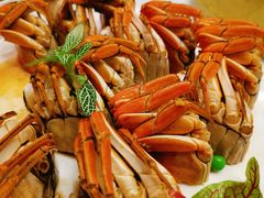 醉毛蟹-洋洋中餐馆·SINCE 1997(信投店)