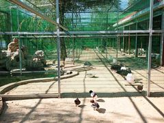 -羊亭河湿地公园