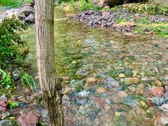 -云岫谷游猎自然风景区