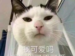 -阿甘锅盔(中关村食宝街店)