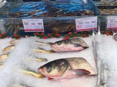水产区-沪华海鲜大酒楼(南汇店)