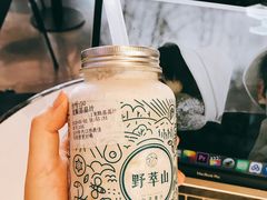 -野萃山·潮汕厚果汁(十亩地店)