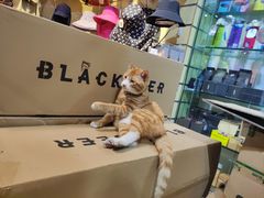 -52camp户外休闲房车装备(北三环路一段店)