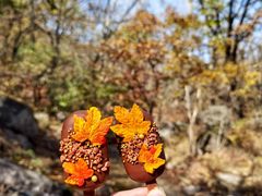 -玉渡山自然风景区
