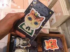 -猫咪博物馆(顶澳仔猫街店)