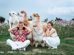 -爱我旅拍婚纱摄影(大理店)