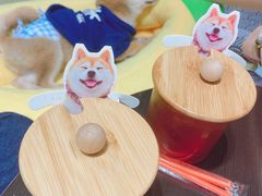 -逗柴咖啡屋·狗咖猫咖宠物桌游